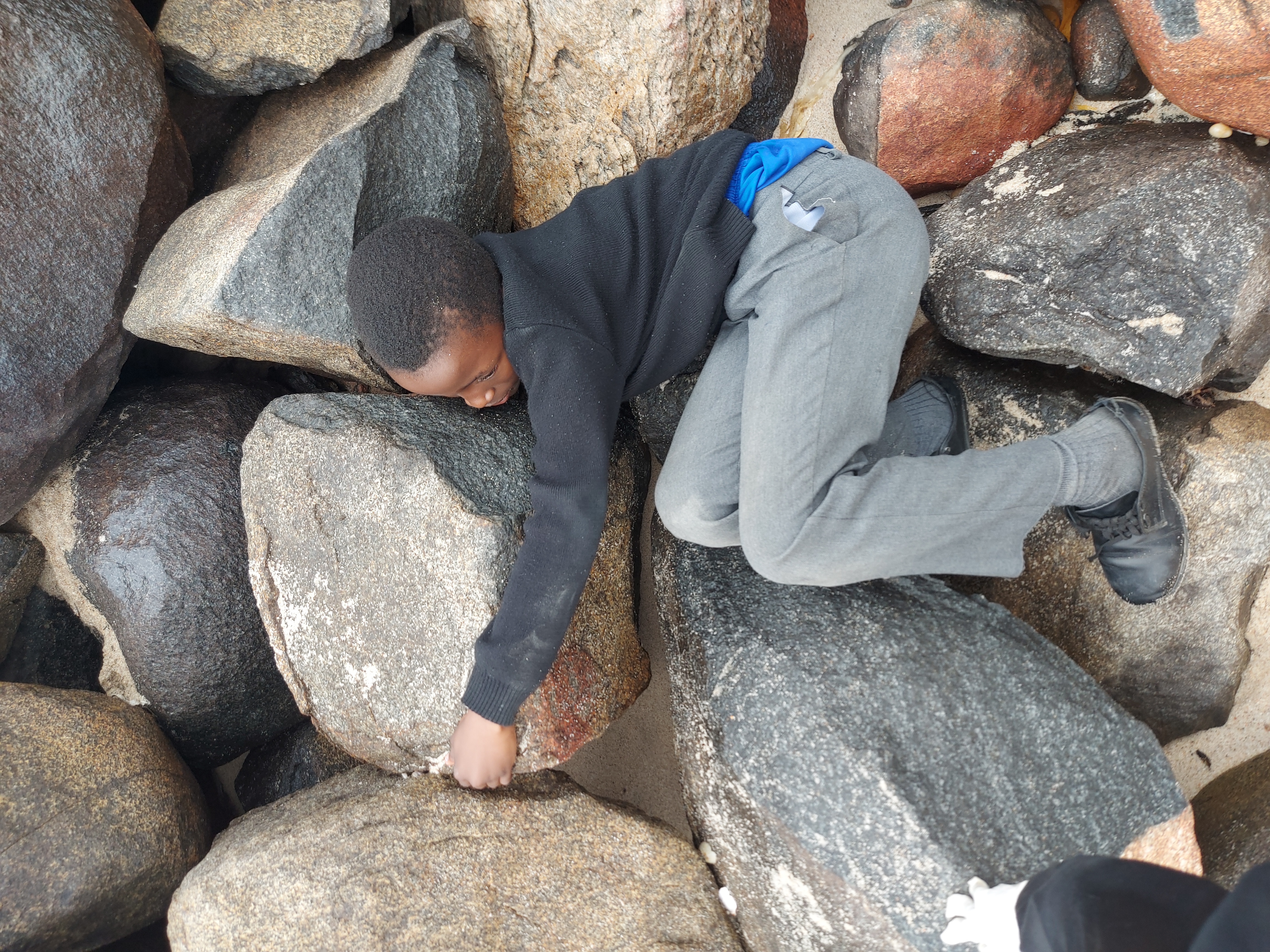 Beach cleanup effort